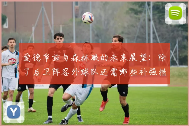 爱德华兹与森林狼的未来展望：除了后卫阵容外球队还需哪些补强措施