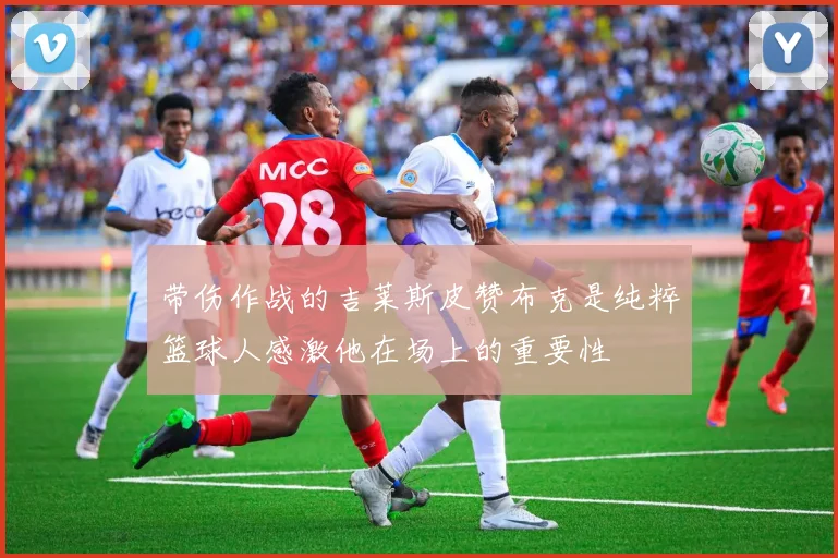 带伤作战的吉莱斯皮赞布克是纯粹篮球人感激他在场上的重要性