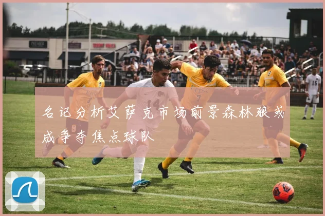 名记分析艾萨克市场前景森林狼或成争夺焦点球队